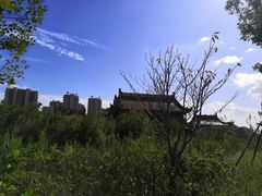 -圆陀角旅游度假区-玉龙寺