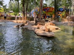 -北京野生动物园