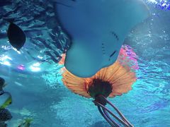 -沈阳海洋探索中心