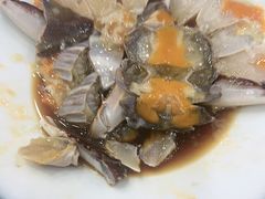 -红灯笼龙凤饭店(宁波老字号店)