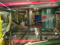 -嘉年华会水疗会(大剧院站E出口店)