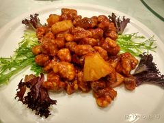 -天蓮珍素館