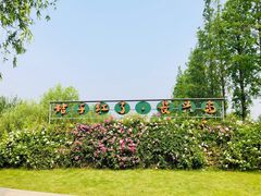 -前小桔亲子创意农场·草莓采摘·露营烧烤