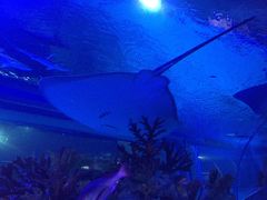 -成都浩海立方海洋公园