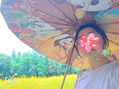 -艾溪湖湿地公园