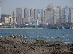 -黑石礁公园