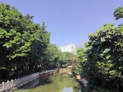 -荔湾湖公园