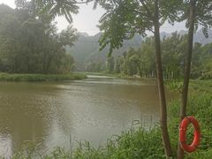 -百里山水画廊乌龙峡谷