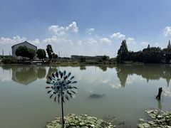 -水岸居湖景农家乐·阳澄湖大闸蟹