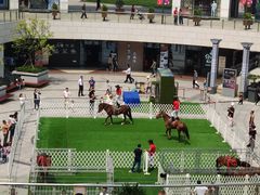 -浦江城市生活广场(江月路店)