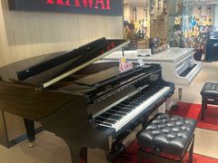 -柏斯音乐艺术中心·钢琴·吉他(上音店)