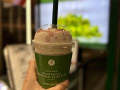 -茉酸奶(春熙路店)