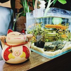 -AFA Hair studio·女士发型设计