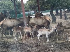 -西安秦岭野生动物园