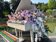 -铁山坪森林公园