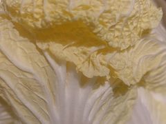 -南门四季铜锅涮肉(大屯·北苑店)