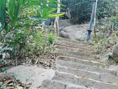-亚龙湾热带天堂森林公园