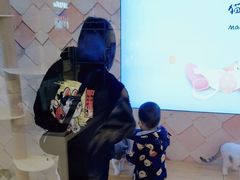 -猫冇咖·家门口的撸猫馆(大融城店)