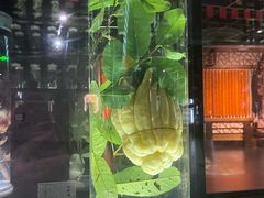 -广东中医药博物馆