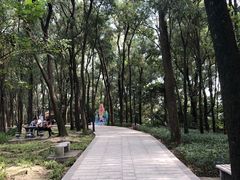 -南国桃园旅游度假区