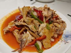 -马白开来特色羊排揪片子  (总店)