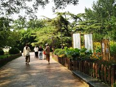 -莲花池公园