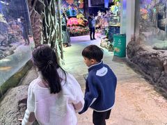 -正佳雨林生态植物园
