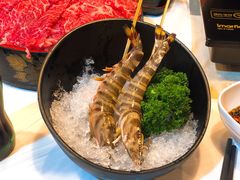 -鲜入围煮花胶鸡海鲜火锅