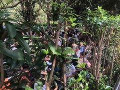 -韶山毛泽东同志故居