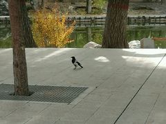 -满都海公园