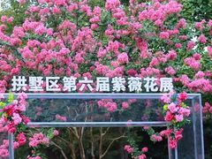 -杭州城北体育公园