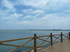picture-同里湖度假村(二期店)