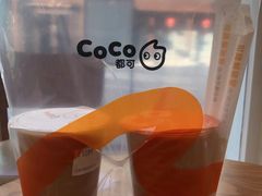 -CoCo都可(宁晋天一广场店)