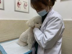 -仁华宠物医院(青羊店)