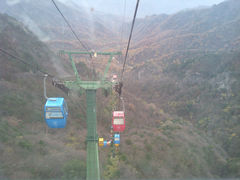 景点-朱雀国家森林公园