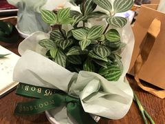 -BOBLOOM花店(宝龙旭辉广场店)