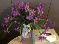 -笑傲江湖·影院式足道·SPA按摩(常发广场店)