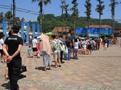 -重庆海昌加勒比海水世界