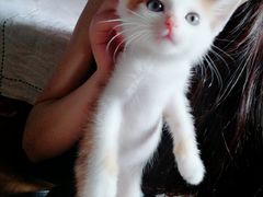 -酷狗靓猫宠物·洗护·美容·寄养(航北路店)