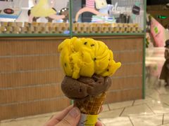 黑巧克力冰淇淋-LUNEURS月乐诗 冰淇淋咖啡(环贸店)