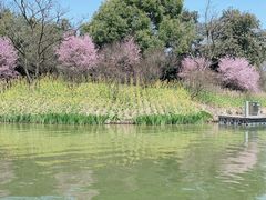 -西溪国家湿地公园