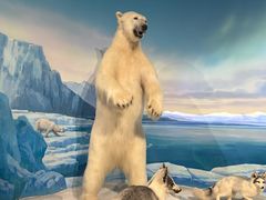 -陕西自然博物馆