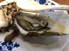 高压生蚝-陈记高压锅鱼头·生蚝