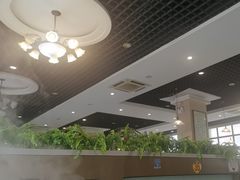 -鑫龙火锅城(青岛分店)
