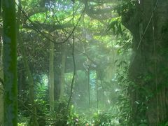 -广西壮族自治区药用植物园