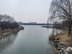 -大兴滨河森林公园