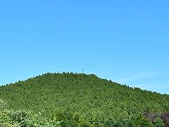-秦始皇帝陵博物院-丽山园