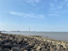 -上海吴淞炮台湾国家湿地公园
