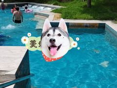 -欢乐水魔方水世界