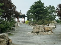 -大兴滨河森林公园